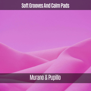 Soft Grooves And Calm Pads