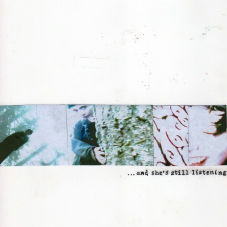 Sallow cover art