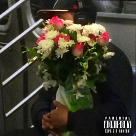 Playboi Diaries cover art
