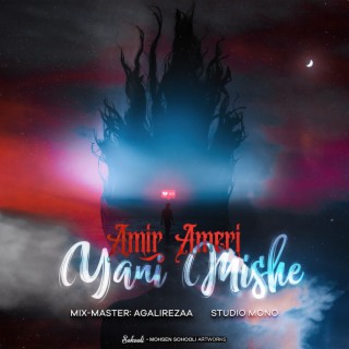 Amir Ameri