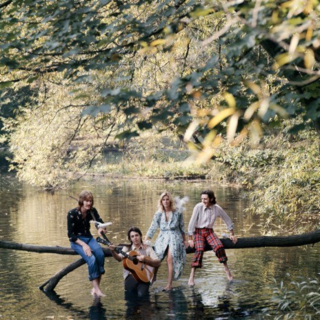 Wild Life (Remastered 2018) cover art