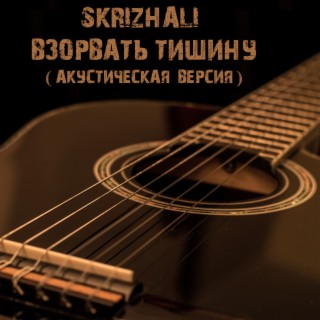 Взорвать тишину (Акустическая версия) cover art