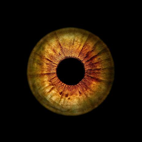 Unlucky Eyes (Color Channel Remix) ft. Color Channel cover art