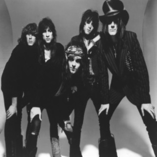 The Quireboys