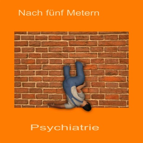 Nach 5 Metern Psychiatrie cover art
