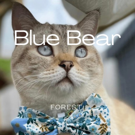 Blue Bear cover art