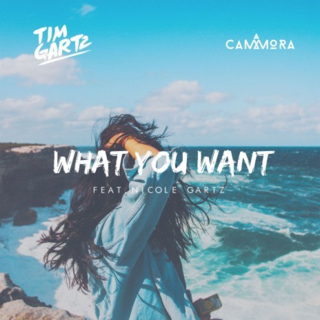 What You Want (feat. Nicole Gartz) cover art