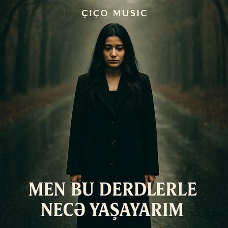 Mən Bu Dərdlərlə Necə Naşayarım cover art