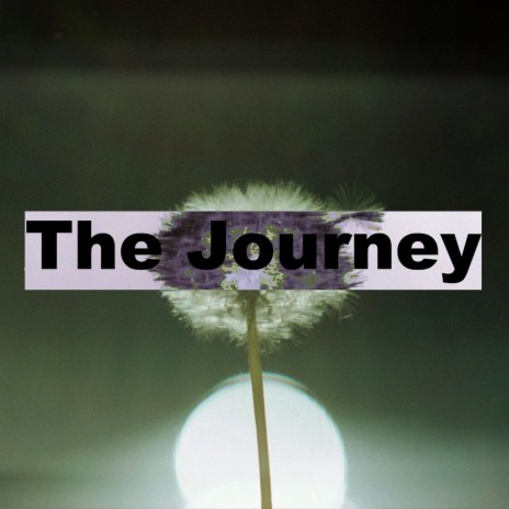 The Recovery