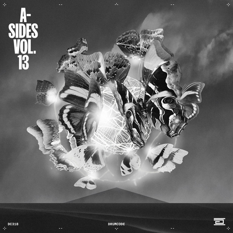 Enter The Sound (Extended Mix) cover art