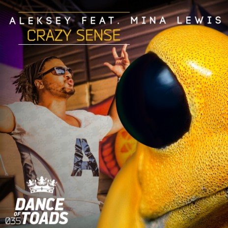 Crazy Sense (Festival Mix) ft. Mina Lewis cover art