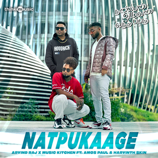 Natpukkage (From Nanban Oruvan Vantha Piragu) ft. Arvind Raj, Amos Paul & Harvinth Skin cover art