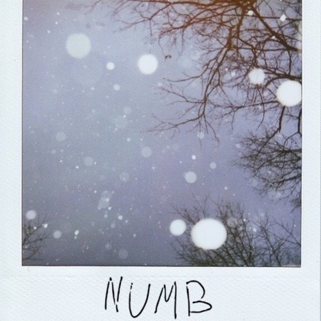 Numb cover art