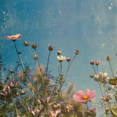 Memory i crave cover art