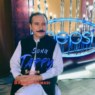 Baryali Samadi