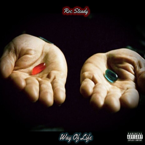 Way of Life cover art