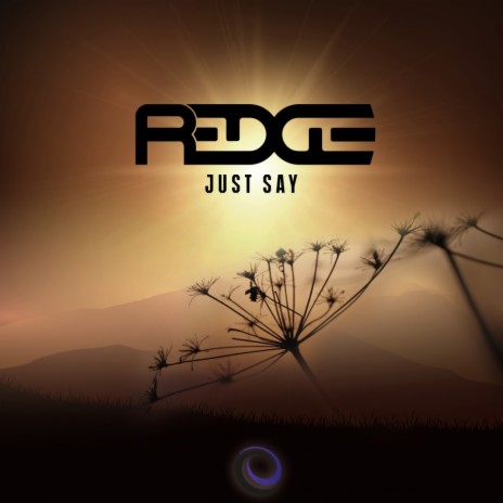 Just Say (Original Mix) cover art