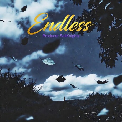 Endless you cover art