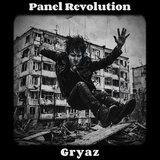 Panel Revolution