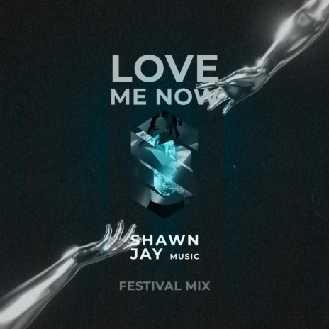 Love Me Now (Festival Mix) cover art