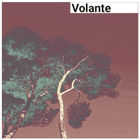 Volante Short Edit cover art