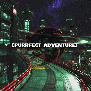 Purrfect Adventure