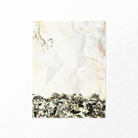 Charm of Rust cover art