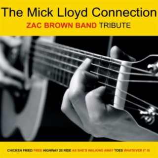 The Mick Lloyd Connection