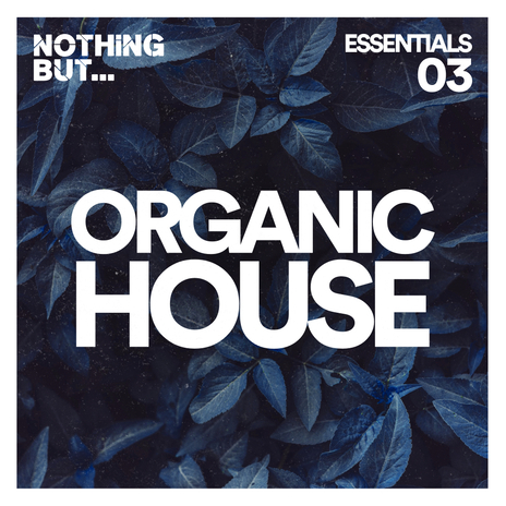 Adagio For Strings (Extended Mix) ft. C.R.Easy cover art