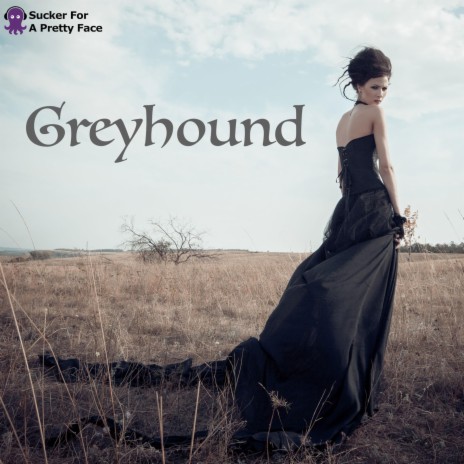 Greyhound (LIVE & LO-FI)