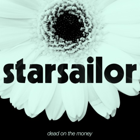 Dead On The Money cover art