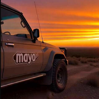 Mayo op Alles