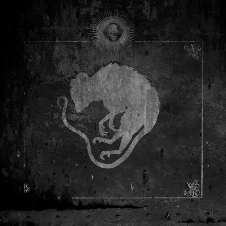 IN MY DEATH NOTE ft. farofinat beats & Mvko cover art