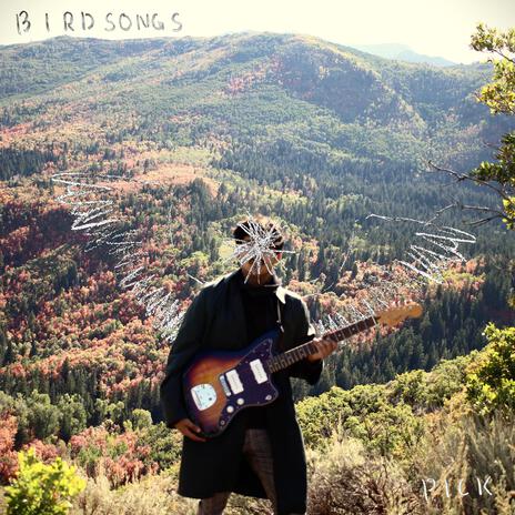Ruffled Feathers cover art