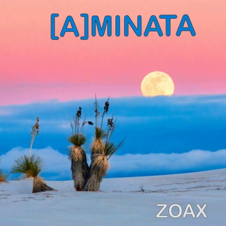 Aminata cover art