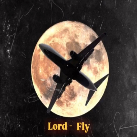Fly cover art