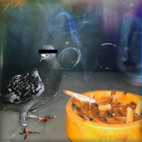 why won't you move u suck cover art
