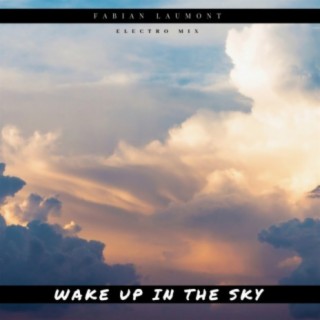 Wake up in the Sky