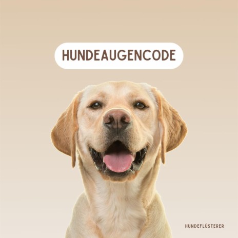 Gelbe Fahnen cover art