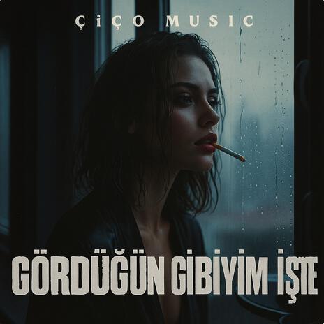 Gördüğün Gibiyim İşte - Biraz Yitik Biraz Ziyan cover art