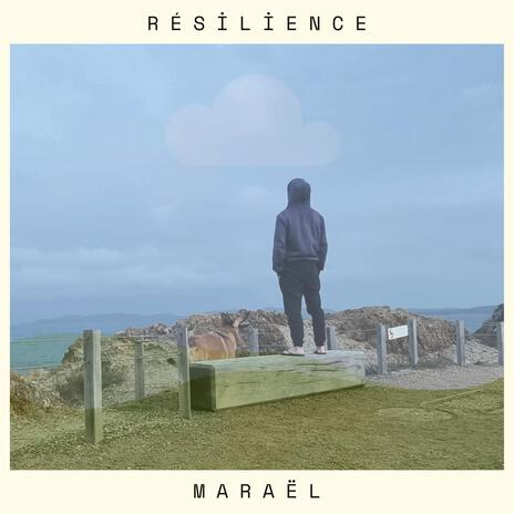 Ceux qui restent cover art