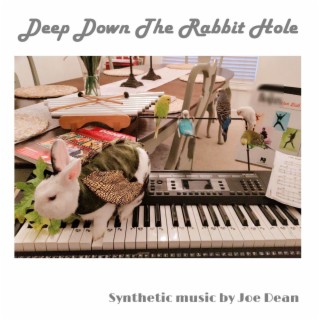Deep Down The Rabbit Hole