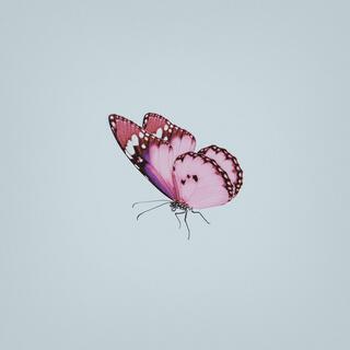 have you forgotten me ? cover art