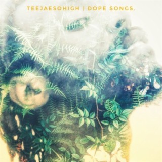 Teejaesohigh