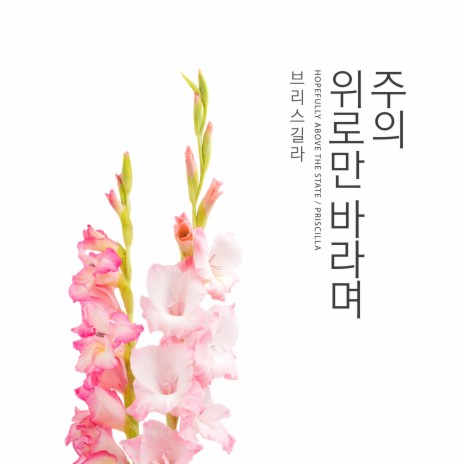A steady smile of the Lord cover art