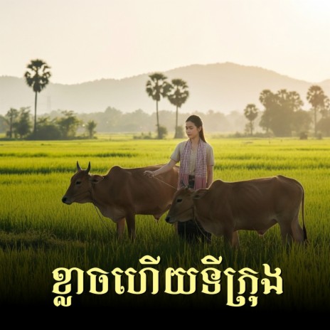 ខ្លាចហើយទីក្រុង cover art