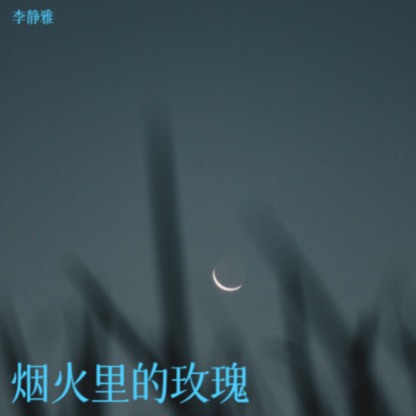 烟火里的玫瑰