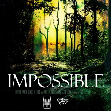 Impossible (Radio Edit)