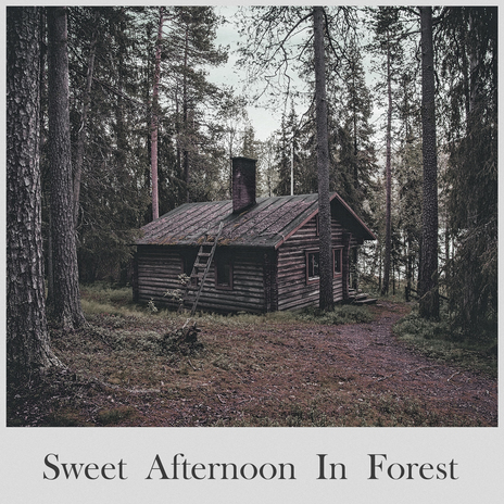 Walk With A Squirrel cover art
