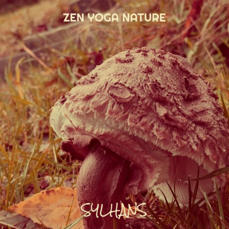 Zen Yoga Nature cover art